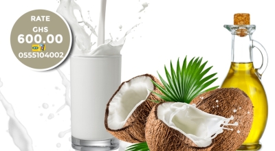 Training on Coconut Milk Processing