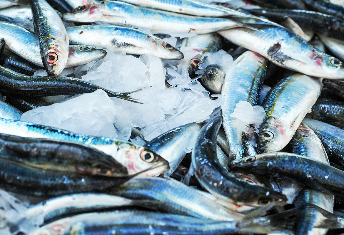 FAO-FISH