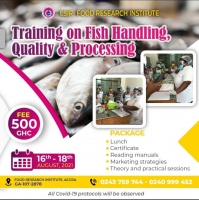 Training on Fish Handling, Quality and Processing