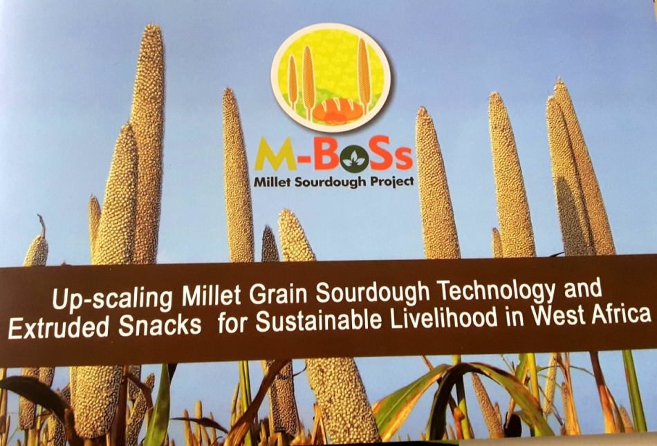Up-scaling Millet Grain Sourdough Technology and Snacks for Sustainable Livelihood in West Africa.