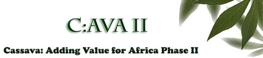 Cassava: Adding Value for Africa (C:AVA) II